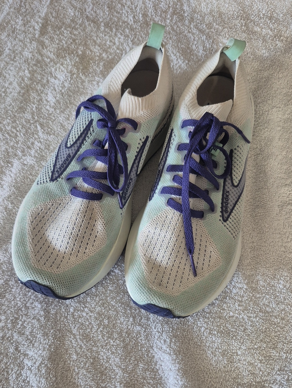 Brooks Levitate GTS with StealthFIT